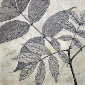 cropped blackberry leaves in black ink over a torn tissue paper collage in earthy colors