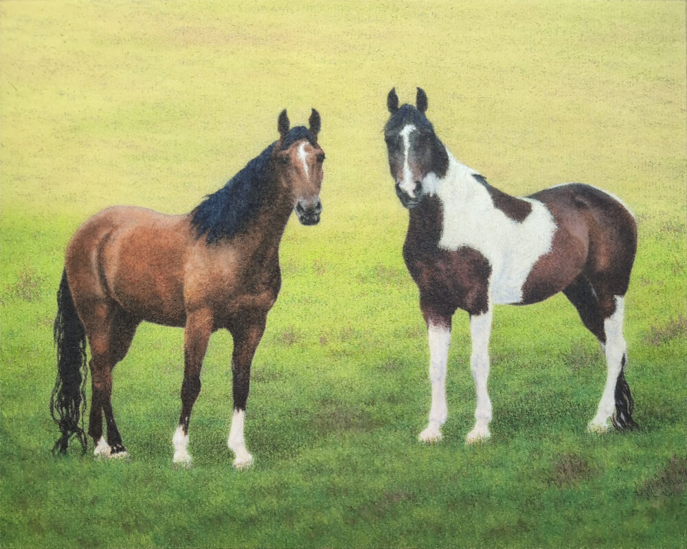 pastel drawing of two Arabian horses standing in the meadow, a bay horse on the left and a pinto horse on the right, both facing the viewer