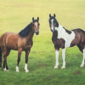 Remaining Cost of Commission for Renay Butt