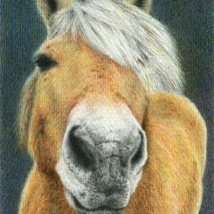 Yelena Shabrova ~ Character ~ colored pencil, 12 x 16 cm