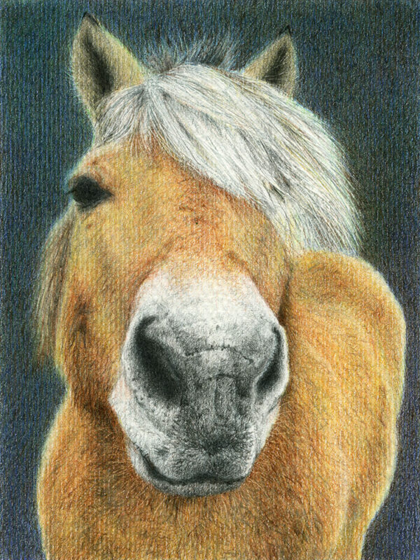 Yelena Shabrova ~ Character ~ colored pencil, 12 x 16 cm