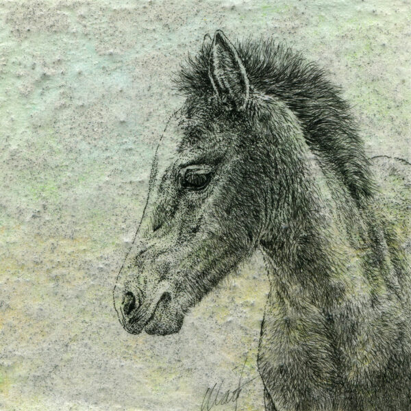 Delicate Beginnings III, mixed media drawing by Yelena Shabrova