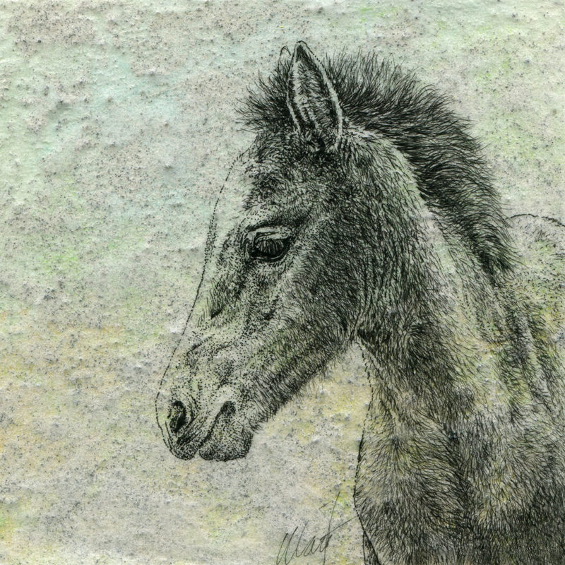 Delicate Beginnings III, mixed media drawing by Yelena Shabrova