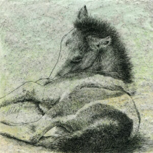 Delicate Beginnings II, mixed media drawing by Yelena Shabrova