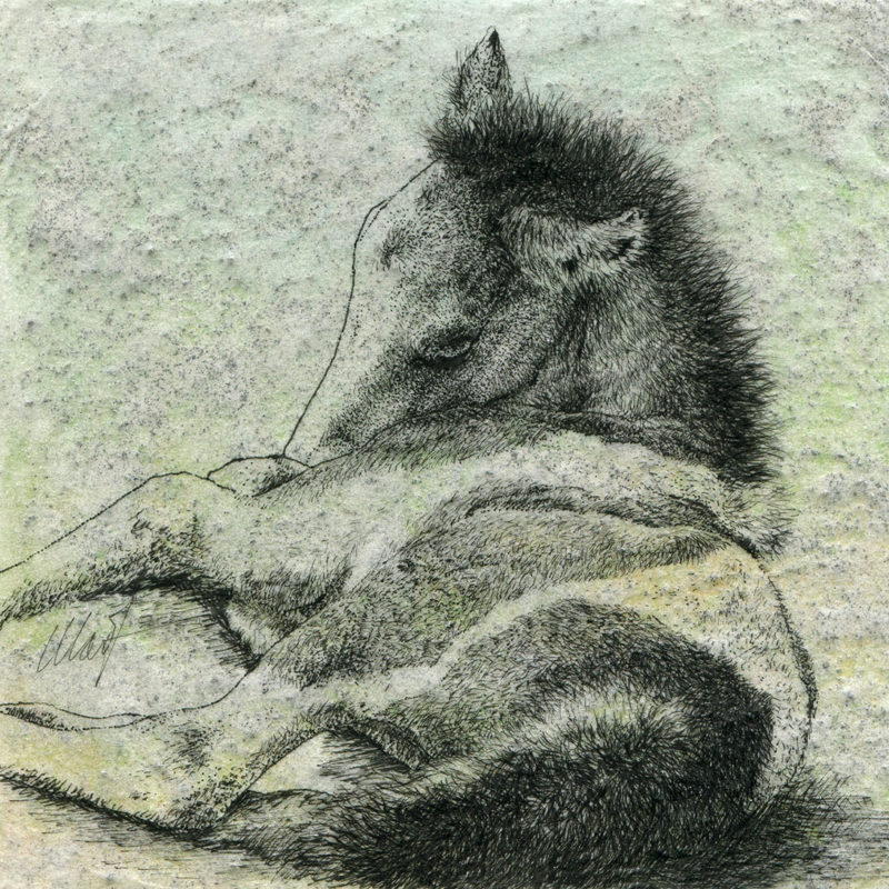 Delicate Beginnings II, mixed media drawing by Yelena Shabrova