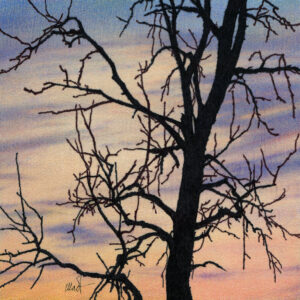 Drawing of a bare tree silhouette against sunset skies with light clouds and pastel colors