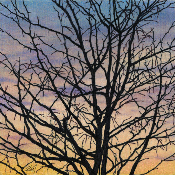 Drawing of a bare tree silhouette against sunset skies with light clouds and pastel colors