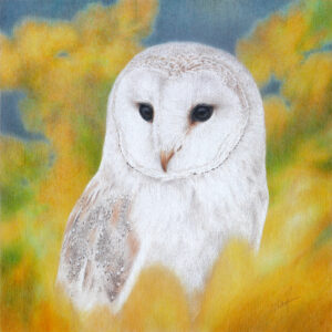 Image of Yelena Shabrova's colored pencil drawing on a cradled wood panel titled "Ravishing", 12" x 12"