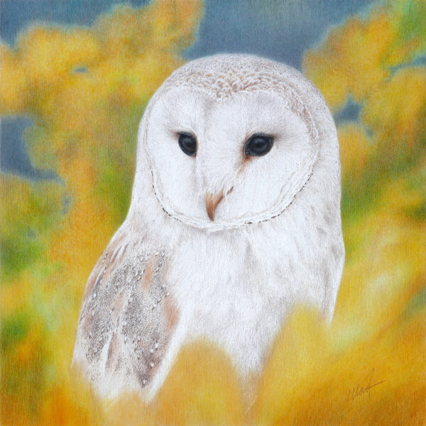 Image of Yelena Shabrova's colored pencil drawing on a cradled wood panel titled "Ravishing", 12" x 12"