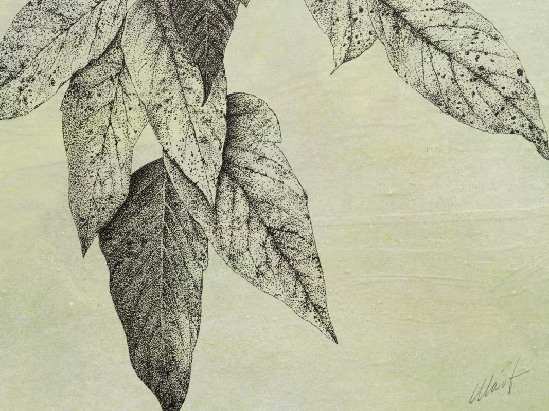 Photo of Stories of the Forest I ~ pen and ink drawing on a tissue paper collage, 9" x 12" by Yelena Shabrova
