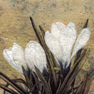 photo of the original artwork, Blossoms 2, mixed media (pen and ink on tissue paper collage) on primed MDF board, 6" x 6", by Yelena Shabrova