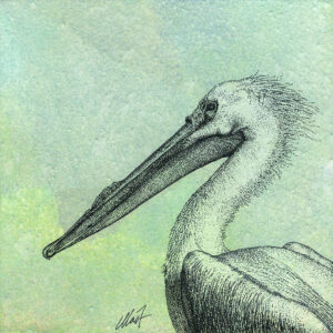 Yelena Shabrova ~ Oregon Wildlife. White Pelican ~ mixed media on canvas, 8" x 8"