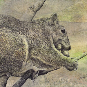 Yelena Shabrova ~ Muncher ~ mixed media on canvas panel, 8" x 10" (original drawing of a squirrel)