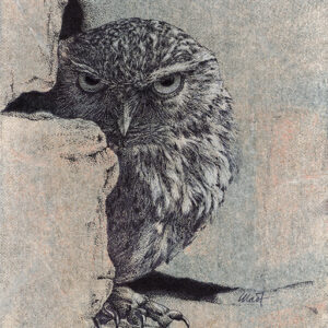 Yelena Shabrova ~ Stranger ~ mixed media on canvas panel, 8" x 10" (original drawing of an owl)