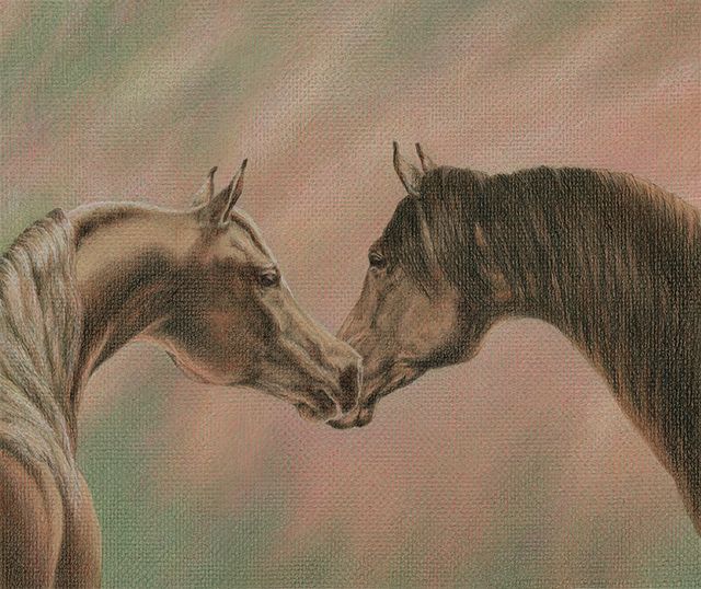 Yelena Shabrova ~ Bonding - colored pencil on colored paper, 12" x 10"