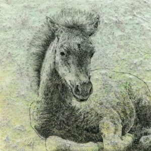 Delicate Beginnings I, mixed media drawing by Yelena Shabrova