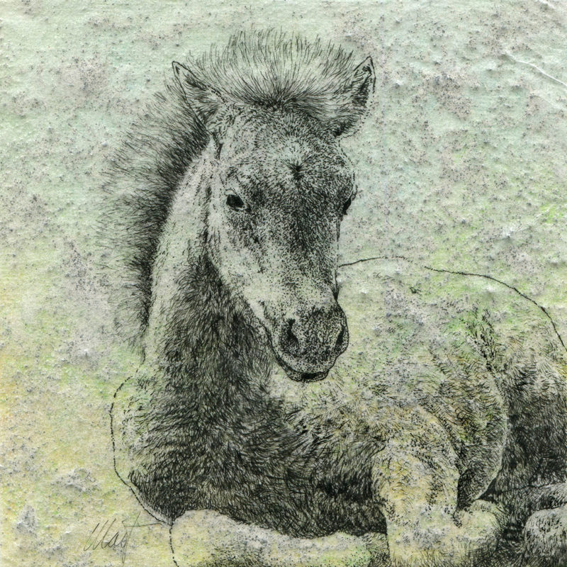 Delicate Beginnings I, mixed media drawing by Yelena Shabrova