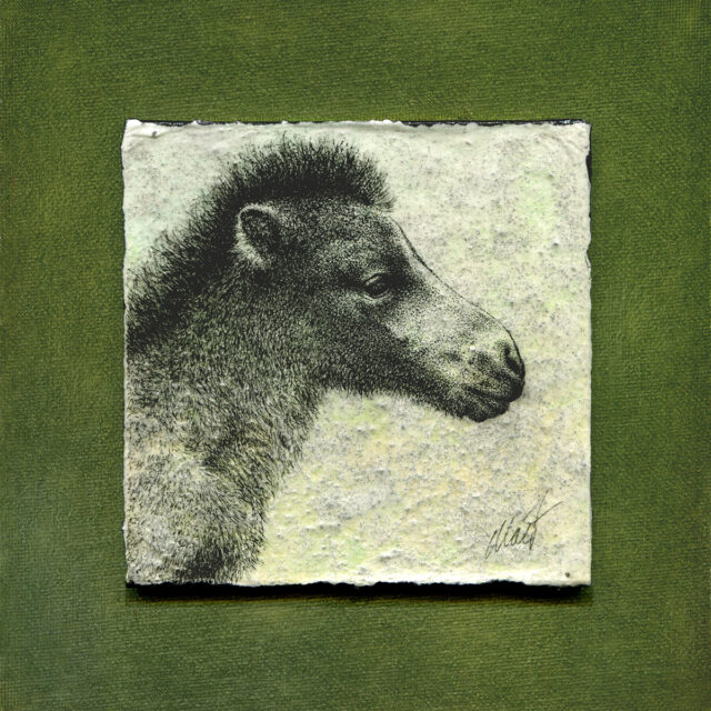 Black ink drawing of a foal head, looking to the right, on a richly textured light green background