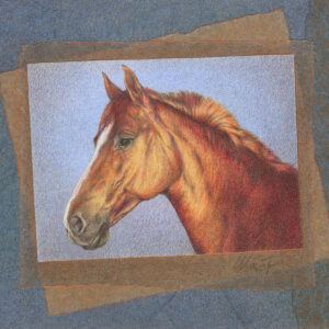 Flame of Fire - colored pencil, 7" x 5"