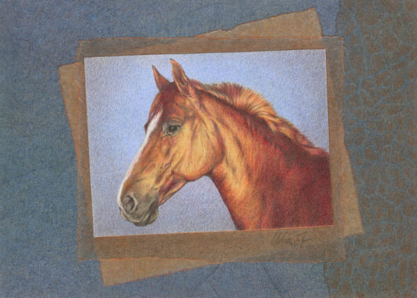 Flame of Fire - colored pencil, 7" x 5"