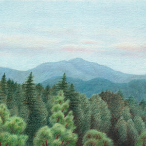 Summer Day in Santa Cruz Mountains - colored pencil on Arches watercolor paper, 14.5" x 10.5"