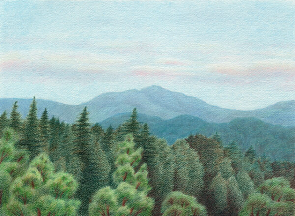 Summer Day in Santa Cruz Mountains - colored pencil on Arches watercolor paper, 14.5" x 10.5"